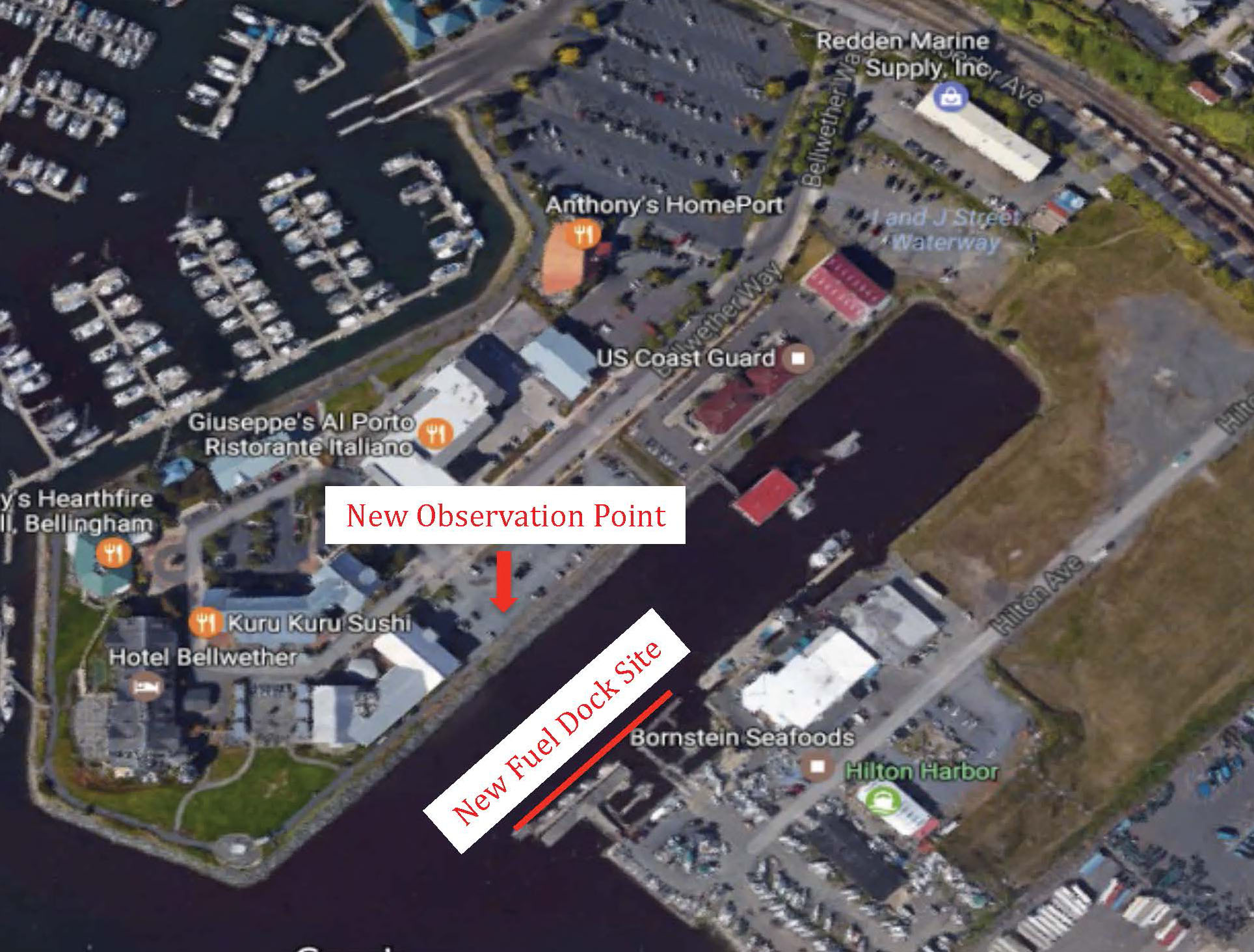 A mapof Squalicum harbor and the surrounding area, showing numerous docked boats and Bellingham businesses near the water. Both the New Observation Point, and the New Fuel Dock Site are highlighted in red.