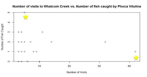 Scatterplot representing number of visits to Whatcom Creek versus number of fish caught by Phoca Vitulina.