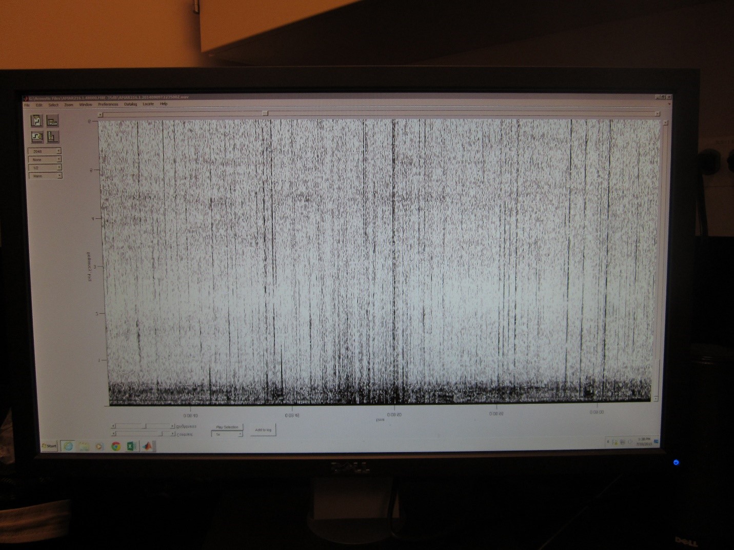 A computer monitor showing a spectogram of a seal roar displayed in scientific software.