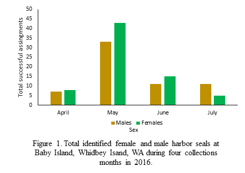 Figure 1. Total identified female and male harbors seals at Baby Island