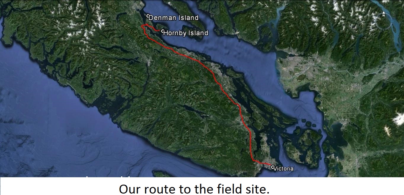 our route to the field site