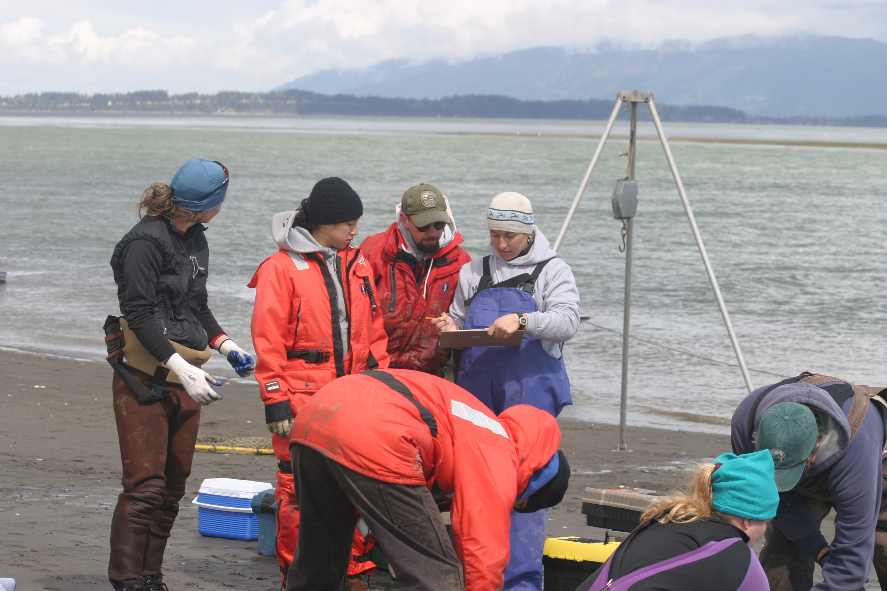 Various marine biologists standing near the water on a cloudy day.