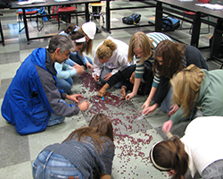 Students gathered in a circle on a gray and white tiled floor.