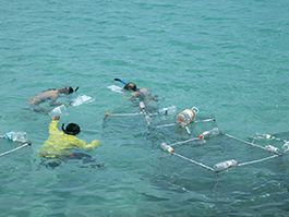 Three students snorkeling in tropical blue waters