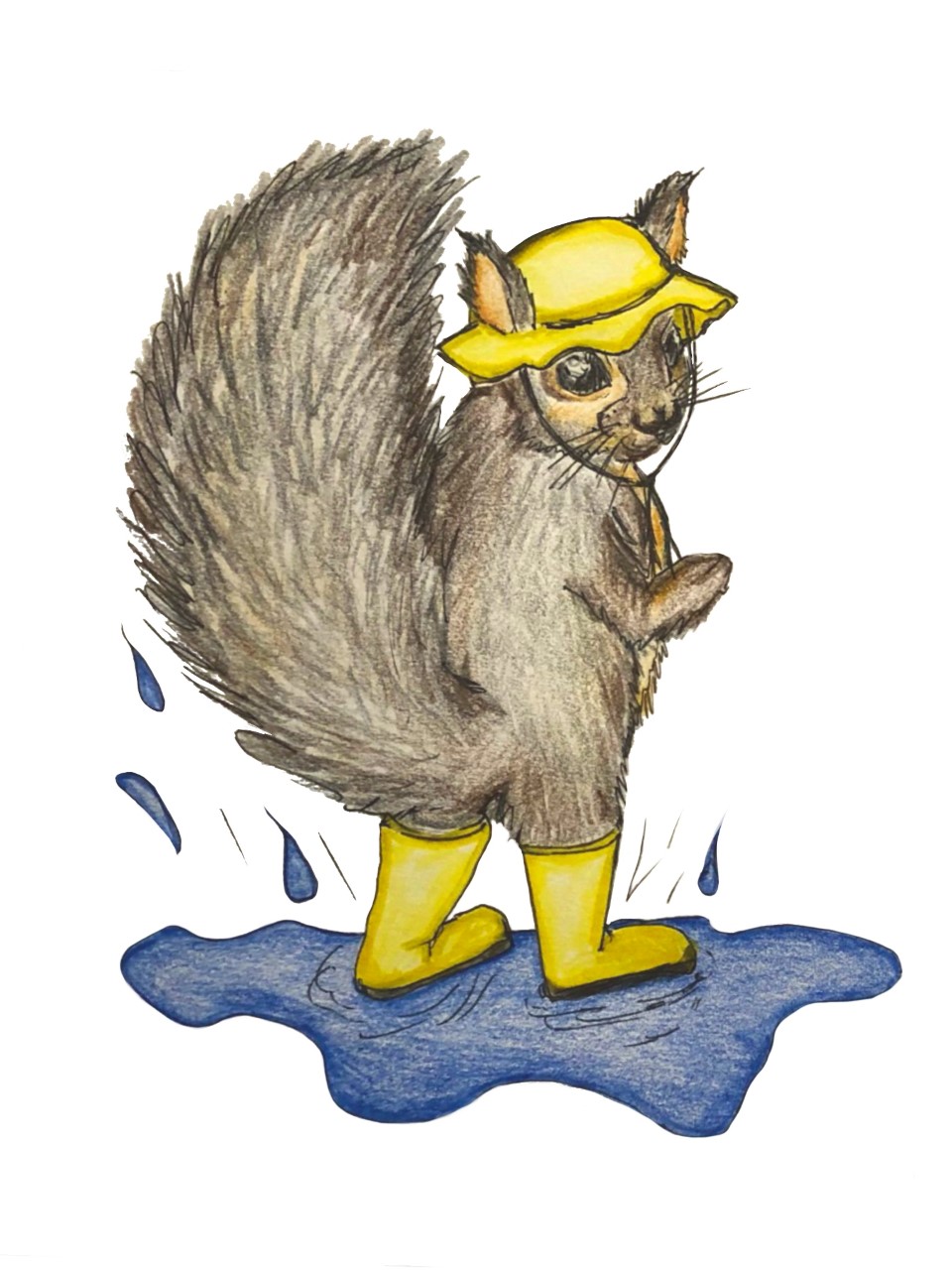 Squirrel in a rain hat and boots looking over it's shoulder, colored pencil illustration