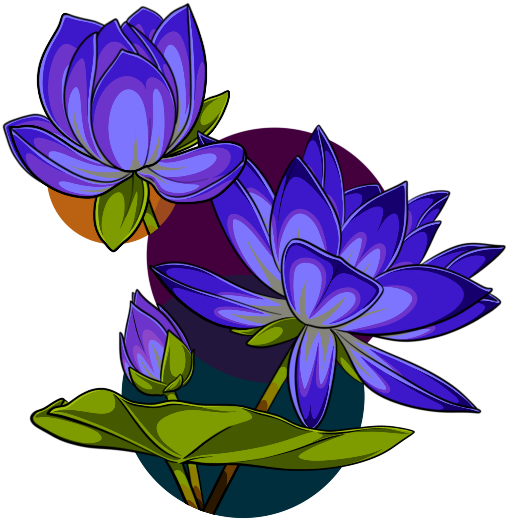 vibrant purple lotus flowers over colored circles