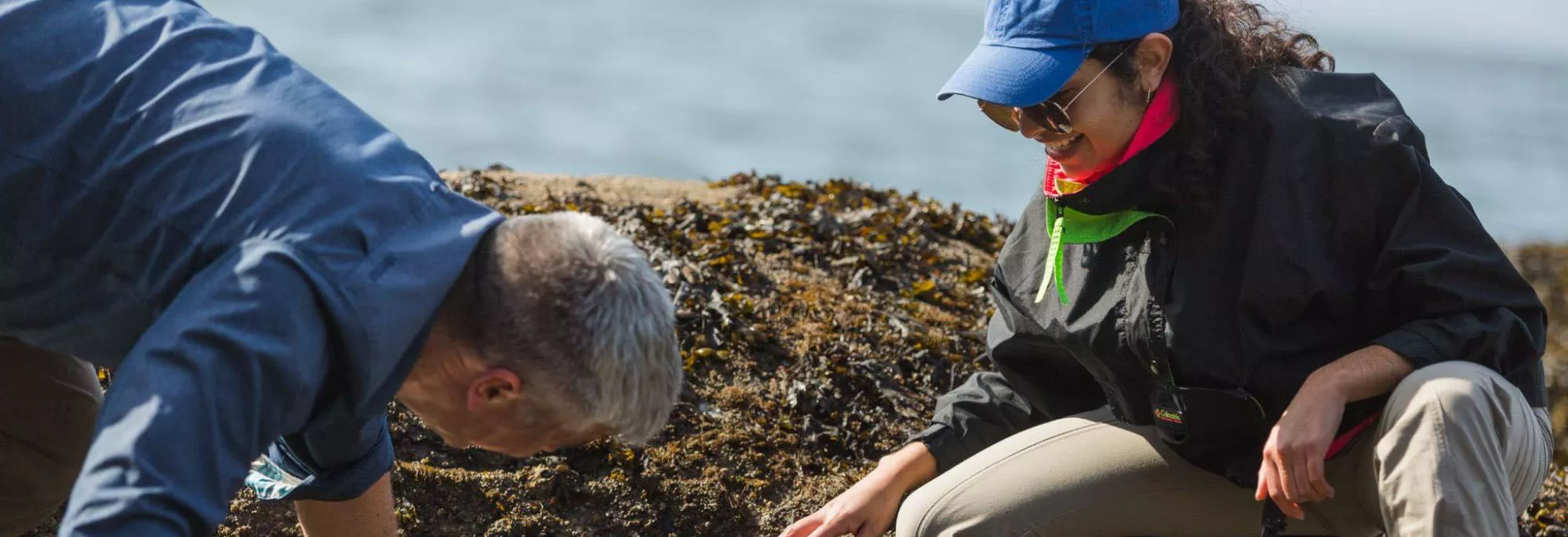 Two people gazing into a tidepool
