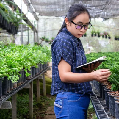 A person holding a notebook and inspecting plants in a greenhouse.