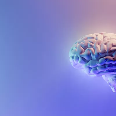 A 3D render of a brain in pastel colors.