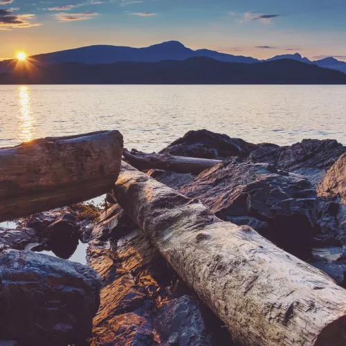 The sun sets over mountains, viewed from a beach made up of driftwood and large rocks.