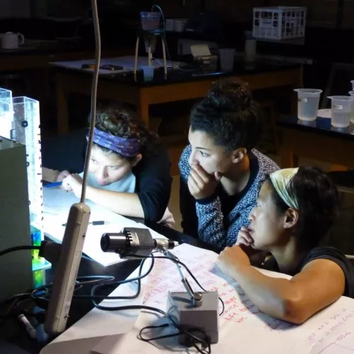 Young students observing samples in a dark room