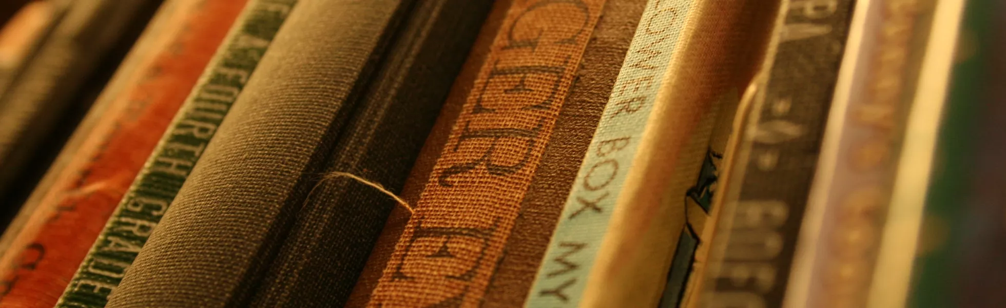 Close-up of books on a shelf.