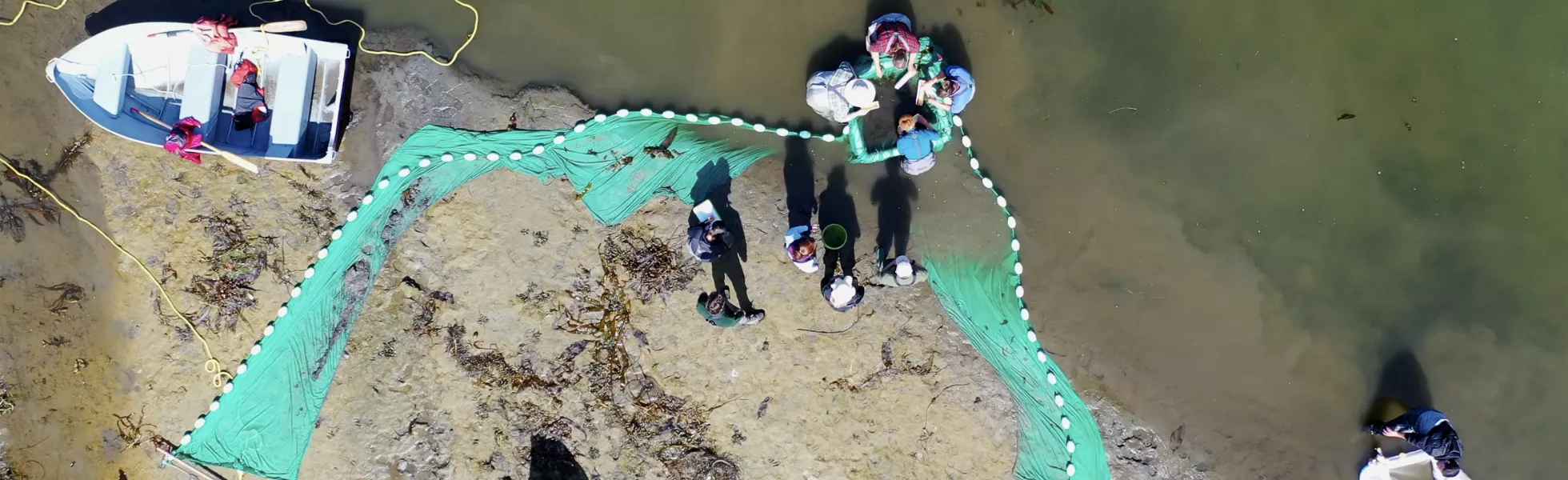 Overhead shot of a group of students studying the riverbank ecosystem of the Elwha River