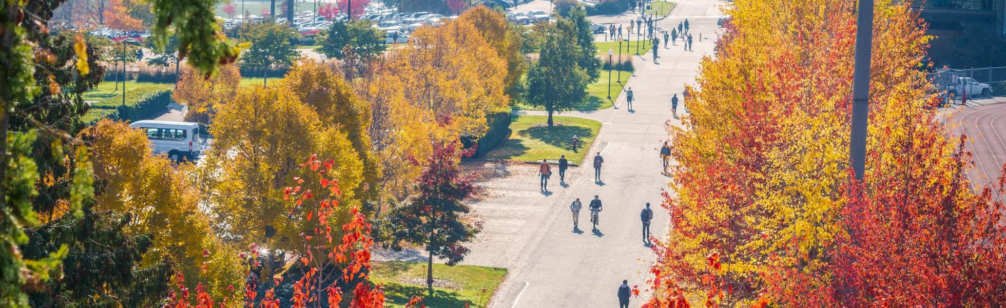 Aerial view of students walking along a brick pathway on South Campus.