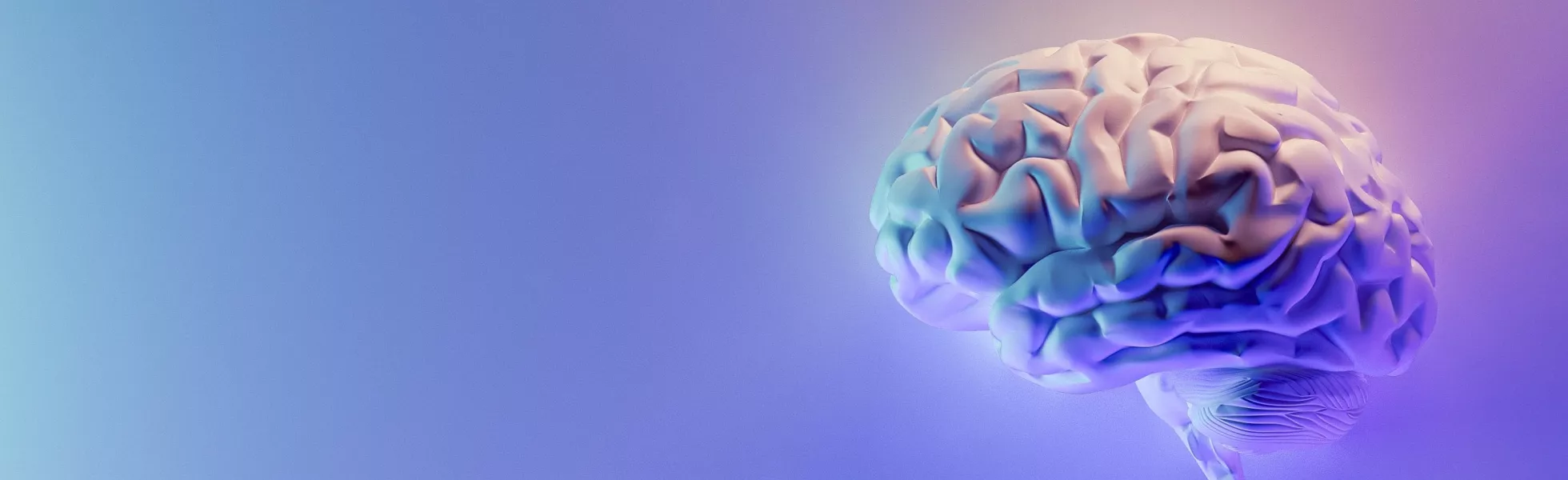 A 3D render of a brain in pastel colors.