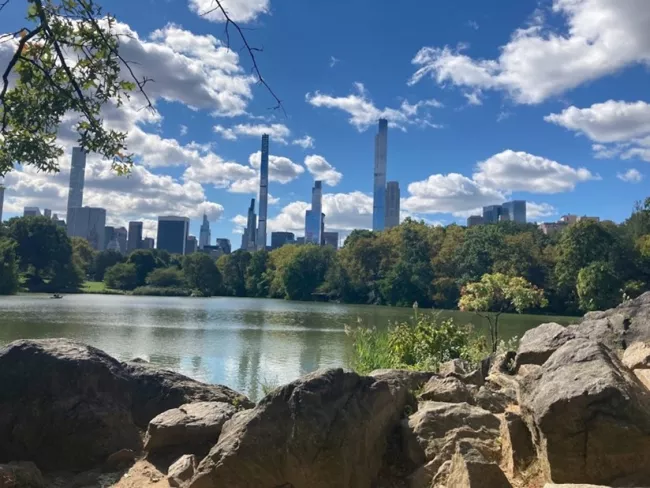 A view of New York City skyscrapers from central park under a blue sky.