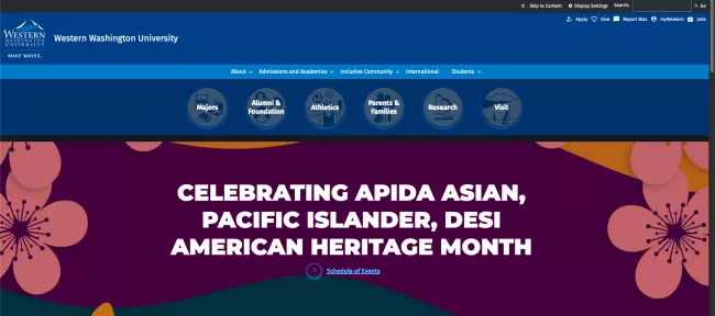 The institutional homepage with its header and splash content for APIDA